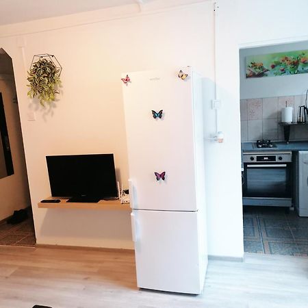 Romanilor - Studio First Floor Дева Екстериор снимка