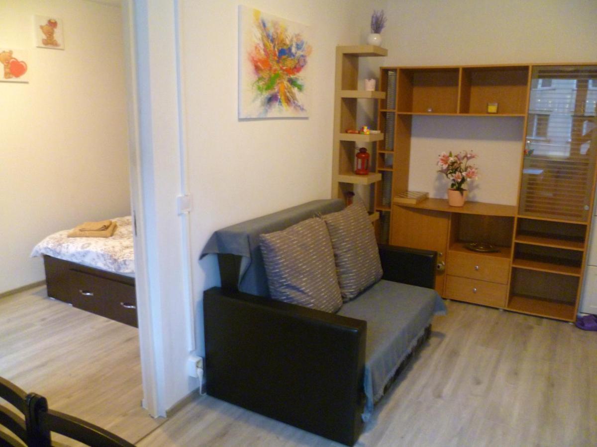 Romanilor - Studio First Floor Дева Екстериор снимка