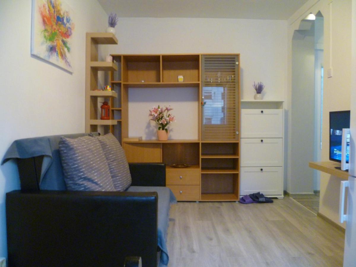 Romanilor - Studio First Floor Дева Екстериор снимка